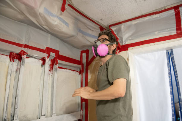 Best Post-Construction Mold Inspection  in Nyon Lake, CA