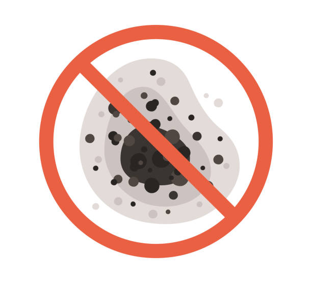 Best Basement Mold Removal  in Nyon Lake, CA