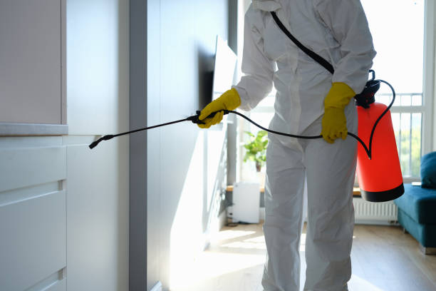 Best Water Damage & Mold Remediation  in Nyon Lake, CA