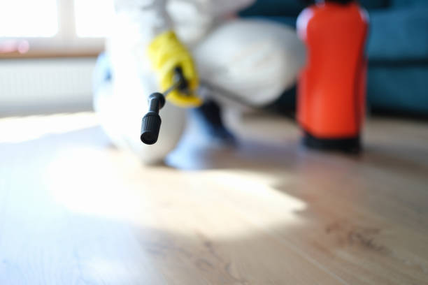 Best Indoor Air Quality Assessment  in Nyon Lake, CA
