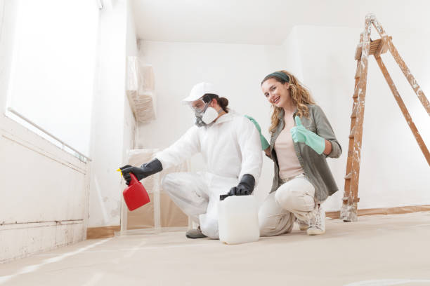  Nyon Lake, CA Mold Removal Pros